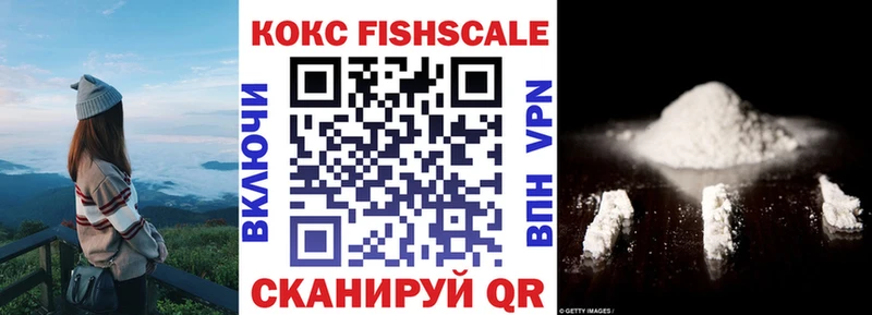 Купить закладки  Арамиль  Кокаин Fish Scale 